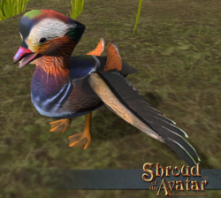 Mandarin-duck.png