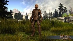 Item leather flame armor set front.jpg