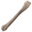 Skeleton Bone