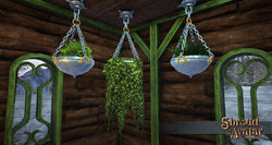 Sota-ornate-hanging-potted-mega-pack.jpg