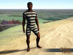 SS 4Elg MaleSwimsuit A.jpg