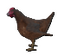 Red Chicken icon.png