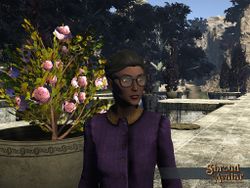 SS Web Specs HornRimmed.jpg