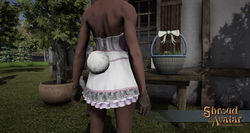 SotA RabbitTailedBodice back v2.jpg