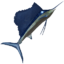 Sailfish icon.png