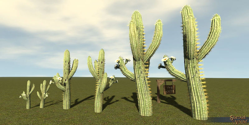 File:SotA Plant Cactus Saguaro 6Pack.jpg