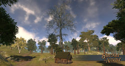 SotA EpicDeadTree.jpg