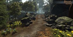 SotA SolaceForest1.jpg