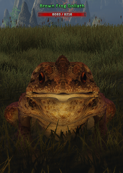 Brown Frog Goliath2.png