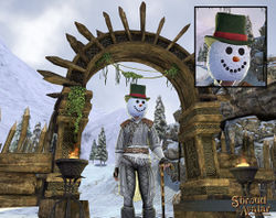 SotA 2016 SnowMan StovePipeHat Mask.jpg