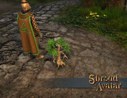 SS Store Pet ReaperSapling B.jpg