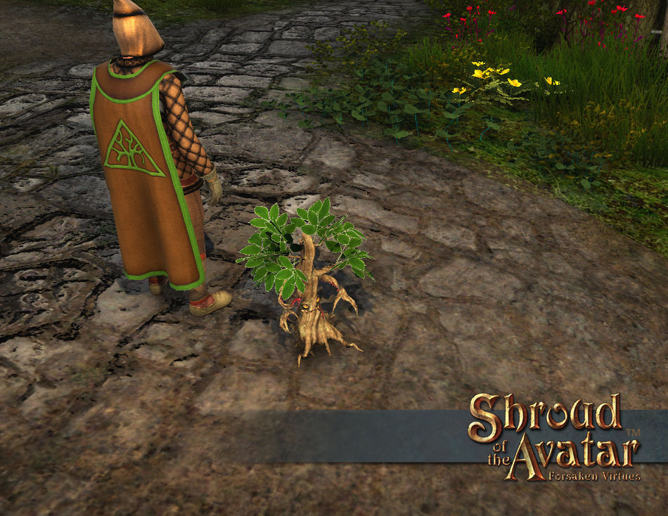 SS Store Pet ReaperSapling B.jpg