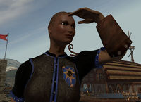 SotA Emote Explorer Gaze.jpg