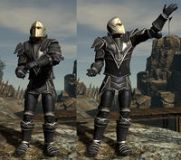 SotA Emote LotM AlmsForPoor.jpg