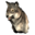 Pristine Timber Wolf Head