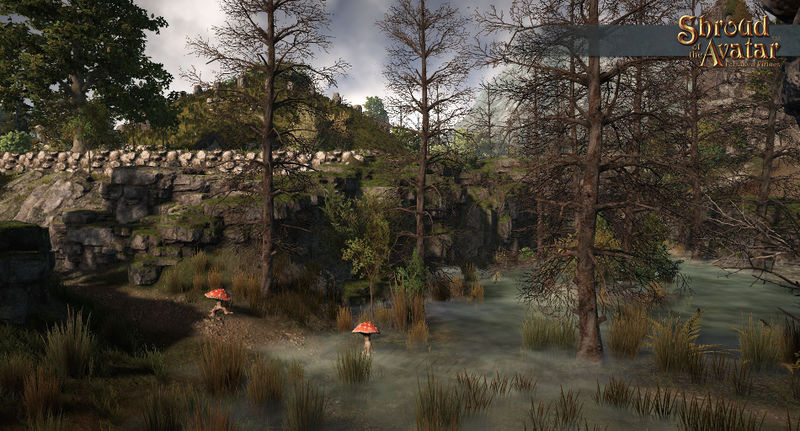 MiddleDowns p2 05.jpg