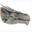White Wyvern Head