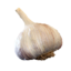 Garlic icon.png