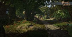 BloodRiverForest 07.jpg