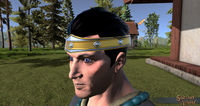 SotA OrnateCirclet.jpg