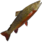 Brook Trout