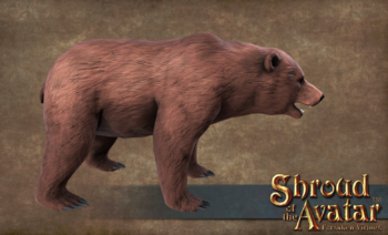 BrownBear.png