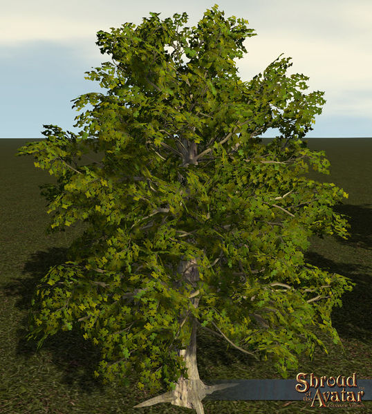 File:SotA AutismAwareness PuzzleTree Speedtree.jpg
