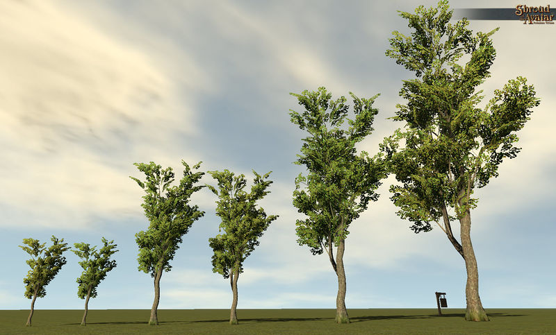 File:SotA WhiteOak 6Pack.jpg