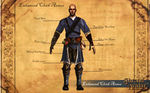 SotA Concept Enhanced Cloth Armor.jpg