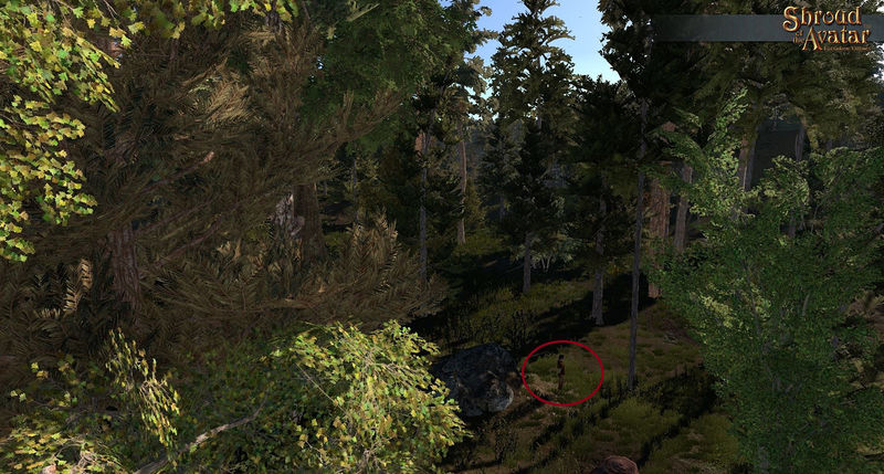 File:SotA NorthNaryad 1.jpg