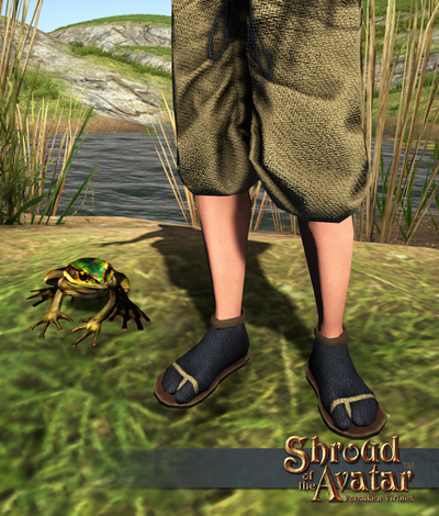 SS Tamed Frog overlay.png