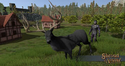 SotA Black-Stag.jpg
