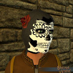 SotA DoD Mask Veil.jpg