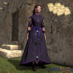 SotA Elven Elder Mage Robe small pattern.jpg