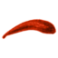 Blood Leech icon.png