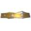 Ornate Circlet icon.png