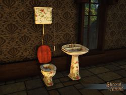 SS 4Starr FancySinkandToilet.jpg