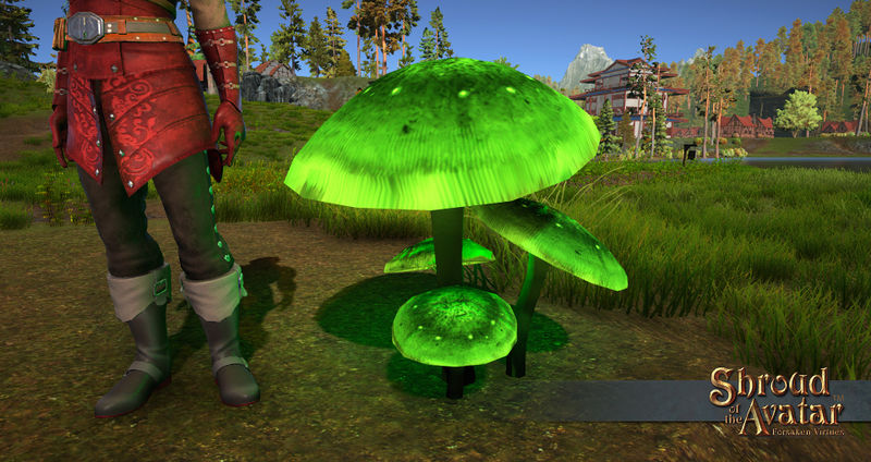 File:Sota glowing mushroom unpotted green.jpg