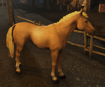 Palomino Horse.png