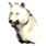 Pristine Arctic Wolf Head