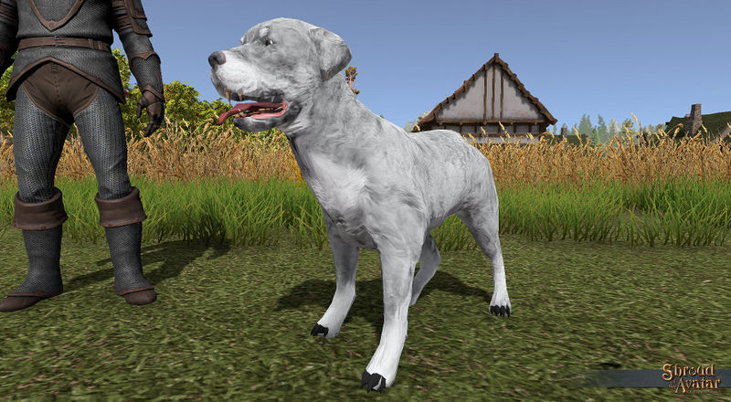 File:SotA Winter Rottweiler Pet view2.jpg