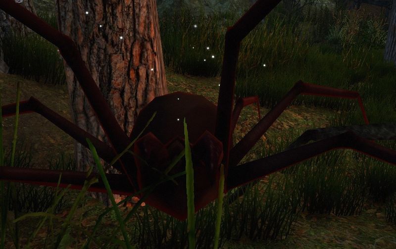 File:Ferocious Brown Spider 1.jpg