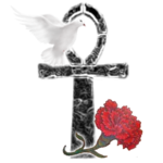 James's Isle of Hope Arms