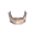 Jawbone