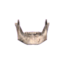 Jawbone icon.png