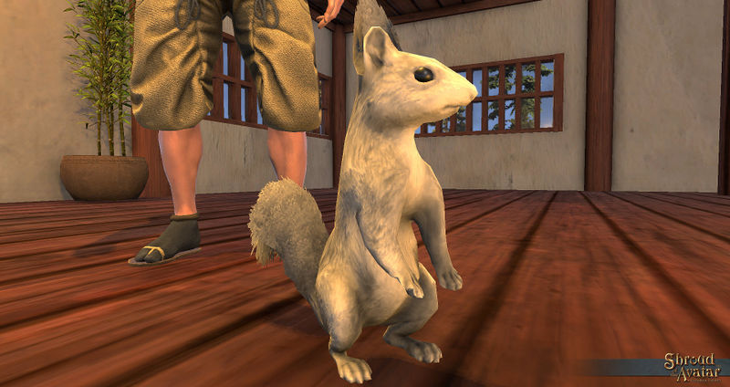 File:SotA WhiteSquirrelPet view2.jpg