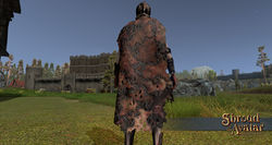 SotA Rotten Flesh Cloak v2.jpg