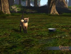 SS 4Starr DecoSpawner Cat Siamese A.jpg