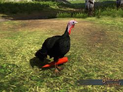 SS 4Starr DecoSpawner Turkey A.jpg