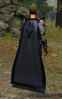 SotA Obsidian Cloak.jpg